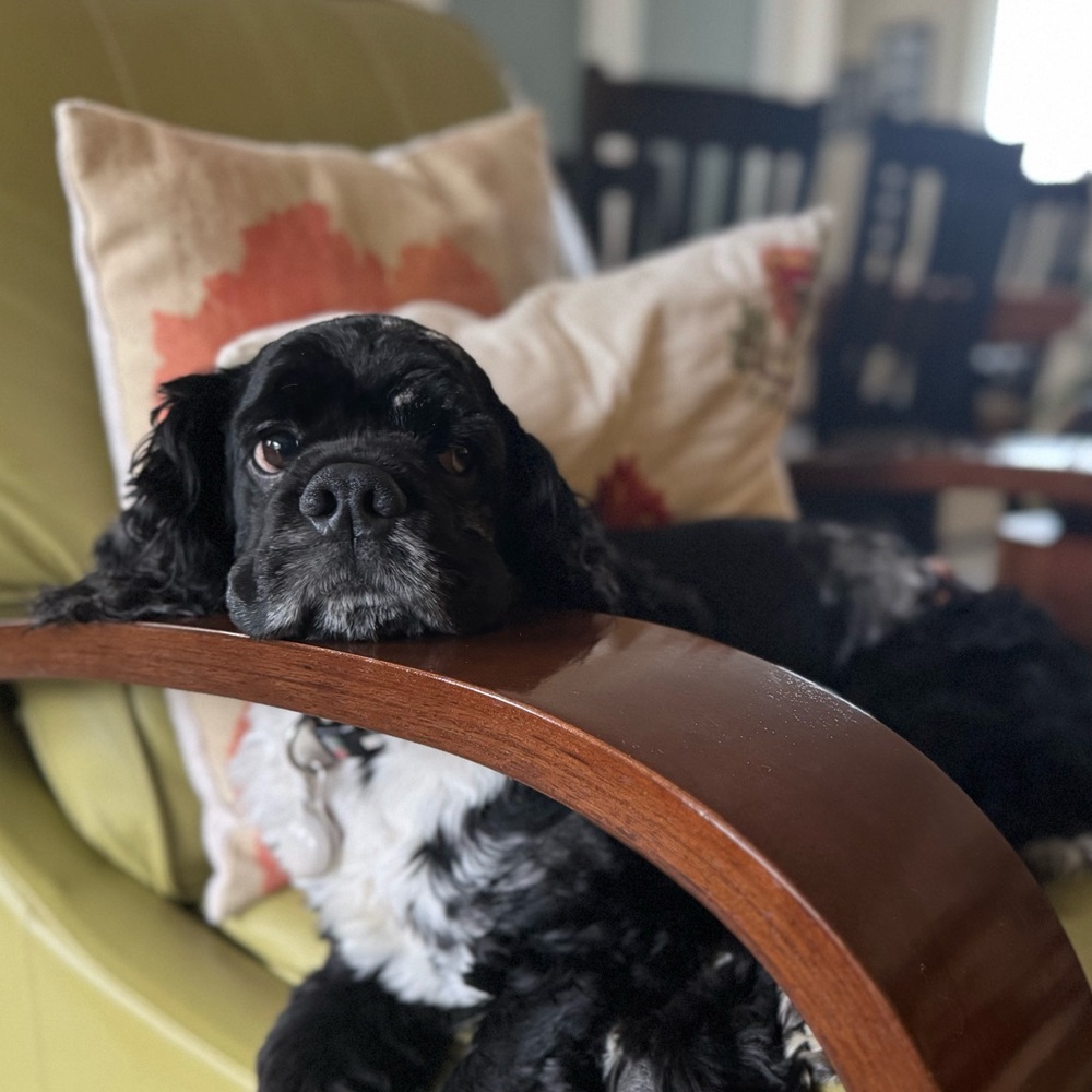 Meet your Posher, Kiiko